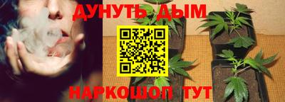 PSILOCYBIN Можайск