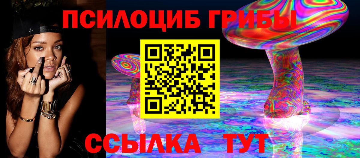Галлюциногенные грибы прущие грибы  Вход с VPN  Волгоград  Галлюциногенные грибы Psilocybe 